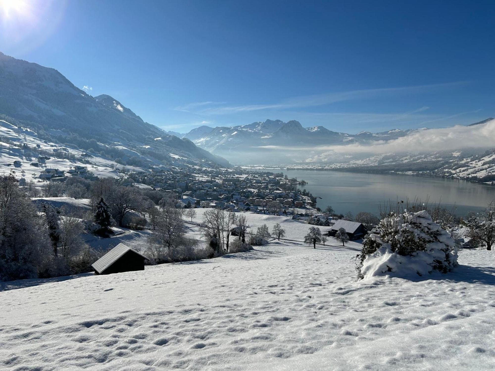 Verena'S Boutique Villa Au Lac Sachseln Bagian luar foto